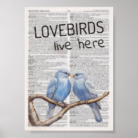 Lovebirds live here