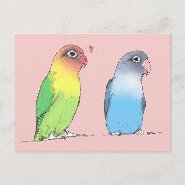 Lovebirds of a Different Color Postcard (Front)