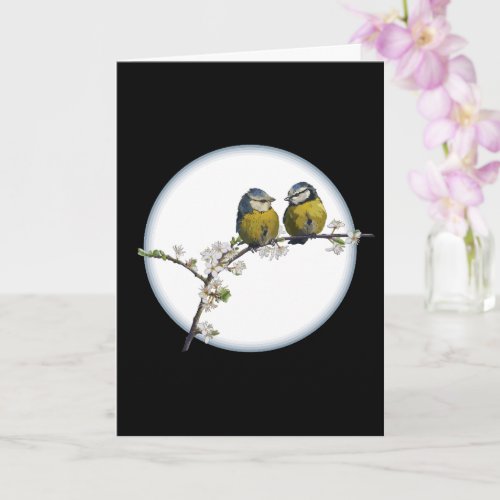 Lovebirds on a cherry blossom branch circle black card