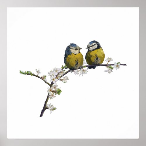 Lovebirds sitting on a cherry blossom branch white poster