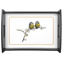 Lovebirds sitting on a cherry blossom branch white