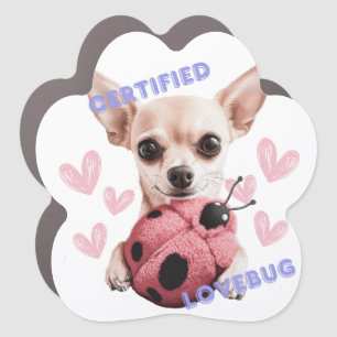 Lovebug Chihuahua Car Magnet