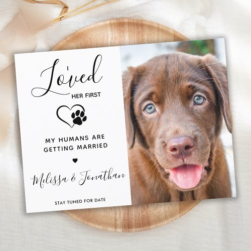 Loved Her First Modern Pet Wedding Dog Engagement Announcement Postcard