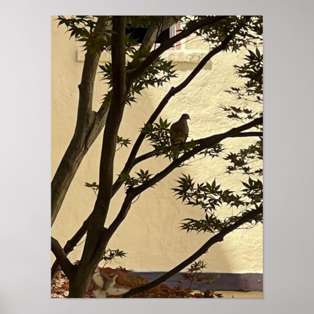 Lovedove silhouette  poster (Front)