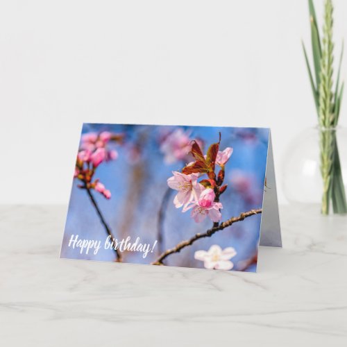 Loveliness Of Fresh Sakura Flowers In Springtime Card