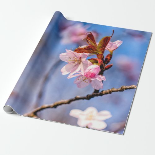 Loveliness Of Fresh Sakura Flowers Wrapping Paper