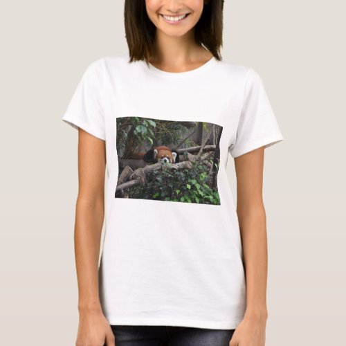 Lovely and Cute Red Panda lost in thoughts A T_Shirt