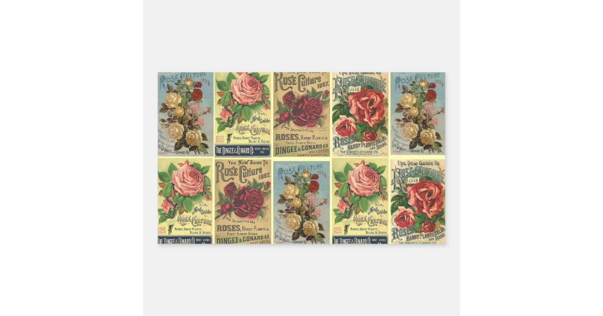 Lovely Antique Heirloom Rose Catalogs Flowers Rectangular Sticker Zazzle