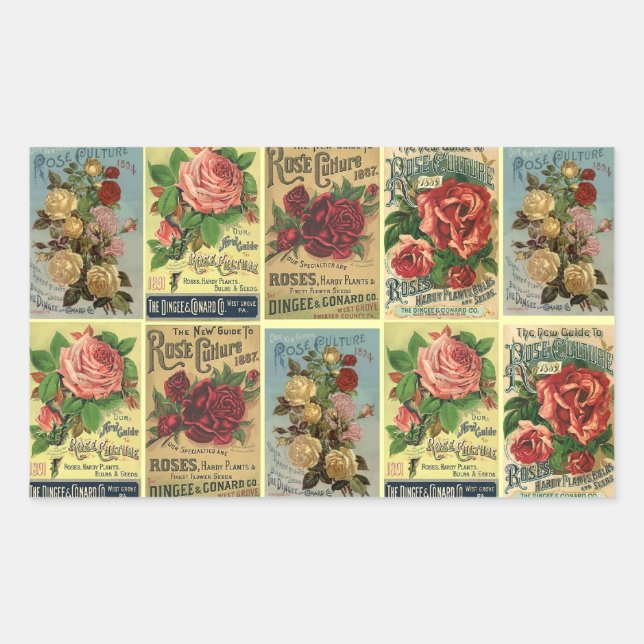 Lovely Antique Heirloom Rose Catalogs Flowers Rectangular Sticker (Front)