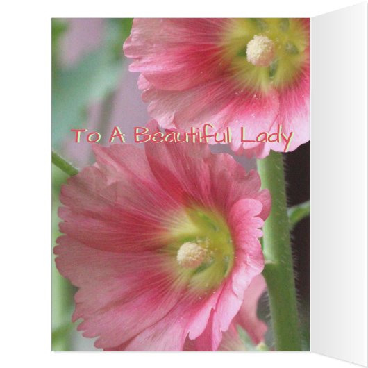Lovely Birthday Card (Inside (Left))
