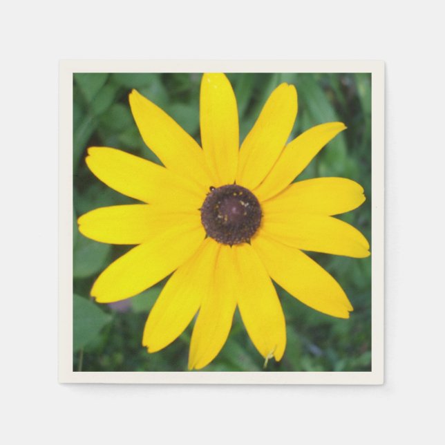 Lovely Black Eyed Susan Paper Napkins (Front)