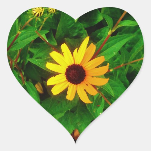 Lovely Black Eyed Susan Sunflower Heart Sticker