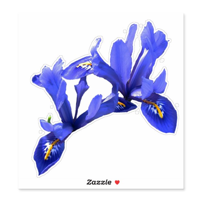 Lovely Blue Iris Flower Floral Contour Sticker