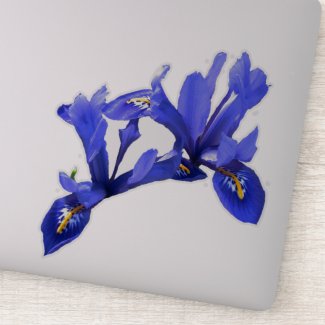 Lovely Blue Iris Flower Floral Contour Sticker