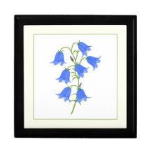 Lovely Bluebells Gift Box