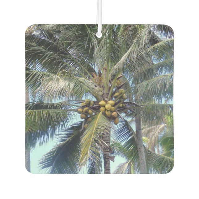 Lovely Bunch of Coconuts Air Freshener (Front)