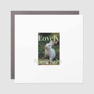 Lovely bunny rabbit pet photo name green pastel car magnet