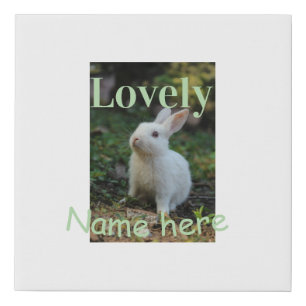 Lovely bunny rabbit pet photo name green pastel faux canvas print
