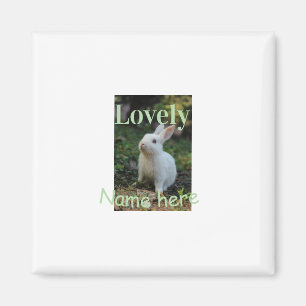 Lovely bunny rabbit pet photo name green pastel magnet