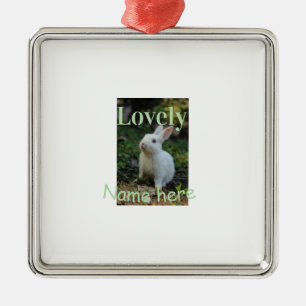 Lovely bunny rabbit pet photo name green pastel metal ornament