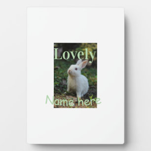 Lovely bunny rabbit pet photo name green pastel plaque