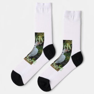 Lovely bunny rabbit pet photo name green pastel socks