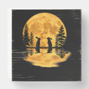 Lovely Bunny Rabbit Rabbits Moon Night Sky Wooden Box Sign
