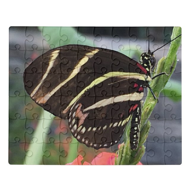 Lovely Butterfly  Jigsaw Puzzle (Puzzle Horizontal)
