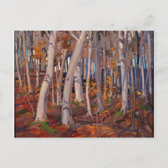Lovely Canadian Tom Thomson White Birches Painting Postcard (Front)