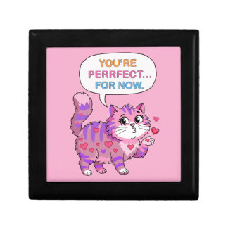 Lovely cat gift box