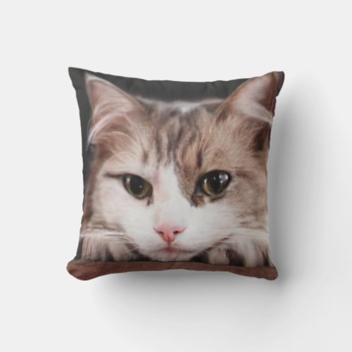 Lovely Cat Lover Cute Face Pet  Throw Pillow