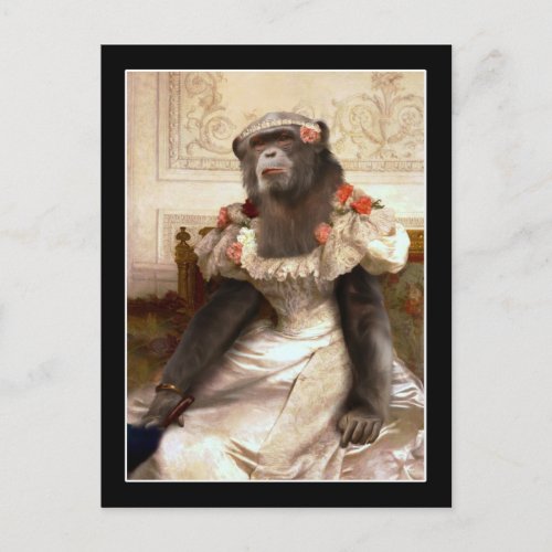 Lovely Chimp in Gown Postcard