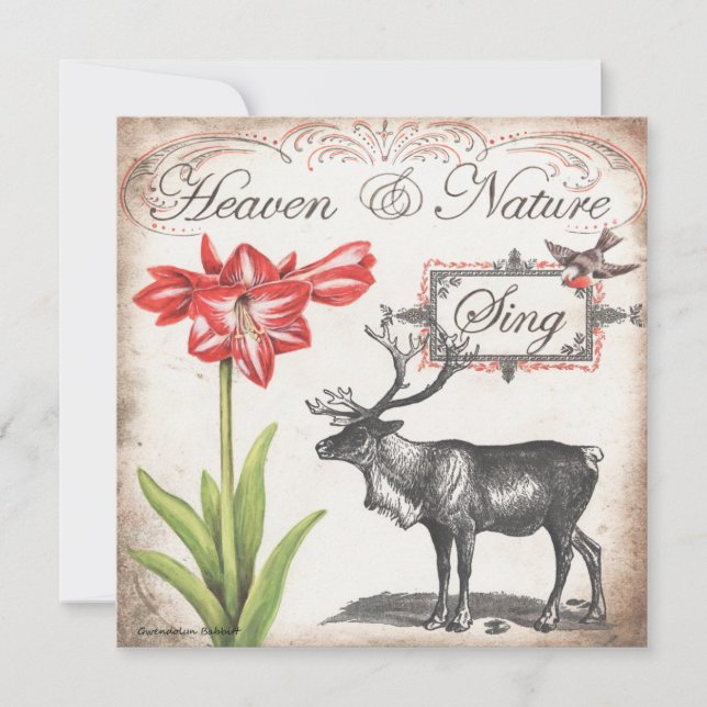 Lovely Christmas card w reindeer, amaryllis & bird (Front)
