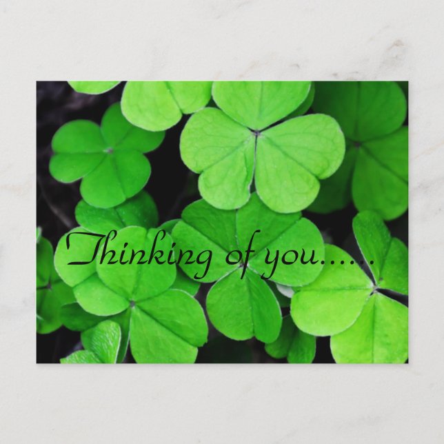 LOVELY CLOVER POSTCARD (Front)