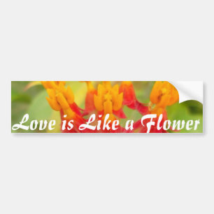 Lovely Colorful Floral with Milkweed Art Print Bumper Sticker