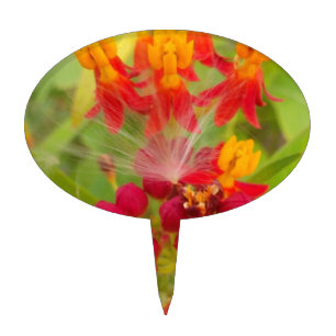 Lovely Colorful Floral with Milkweed Art Print Cake Topper