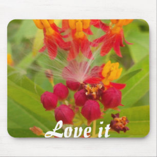 Lovely Colorful Floral with Milkweed Art Print Mouse Pad