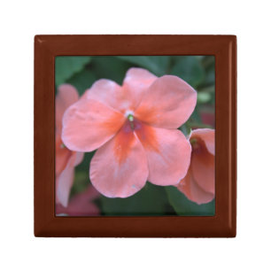 Lovely common pink garden flowers. Floral photo Gift Box