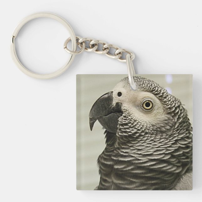 Lovely Congo African Grey Parrot Keychain (Front)