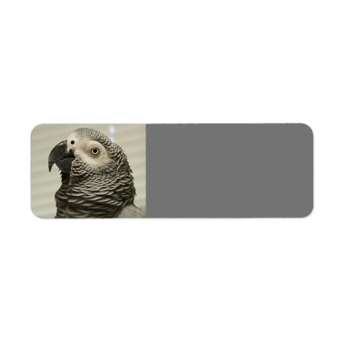 Lovely Congo African Grey Parrot Label