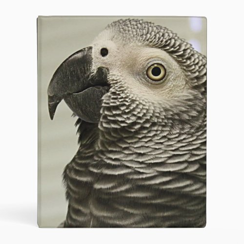 Lovely Congo African Grey Parrot Mini Binder