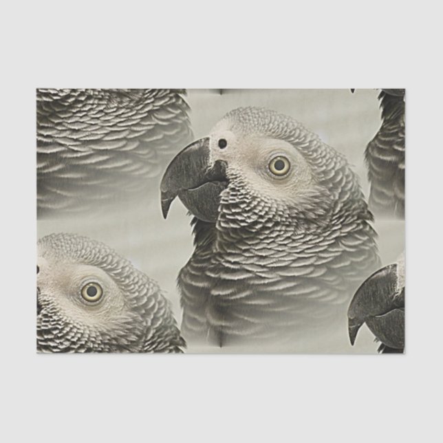 Lovely Congo African Grey Parrot Tissue Paper (Front)