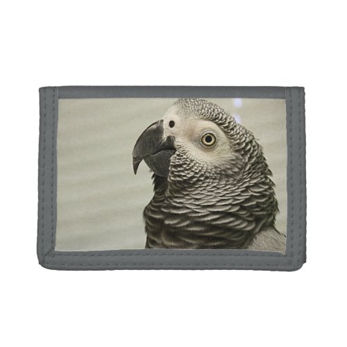 Lovely Congo African Grey Parrot Trifold Wallet