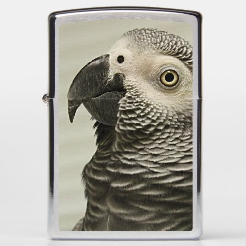 Lovely Congo African Grey Parrot Zippo Lighter