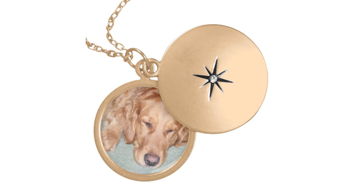 Lovely Custom Photo Locket Golden Retriever Locket Necklace Zazzle Com