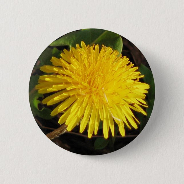 Lovely Dandelion Pinback Button (Front)