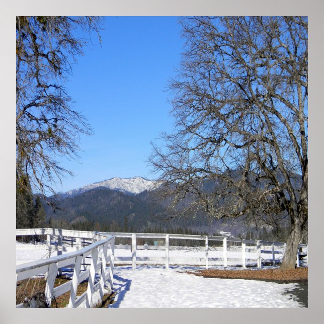 Lovely day in Winter..... Poster (Front)