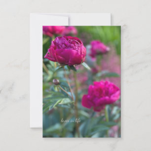 Lovely Deep Pink Garden Peonies Note Card