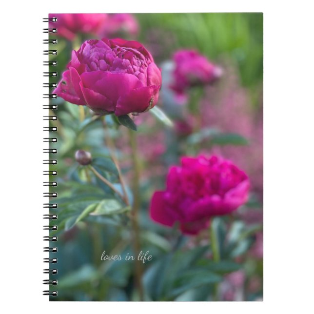 Lovely Deep Pink Garden Peonies Notebook (Front)