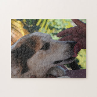 Lovely Dog – Playing with her Owner Photo Puzzle
